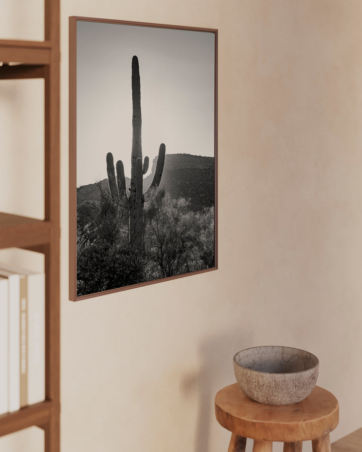 Superstition Saguaro Photo- B&W
