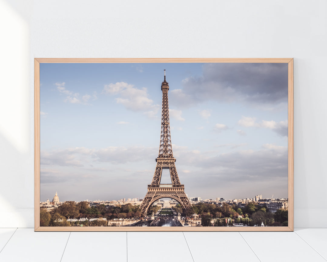 Eiffel Overlook Photo
